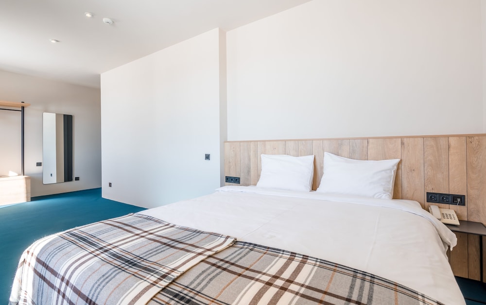 Alpina Hotel 13/50
