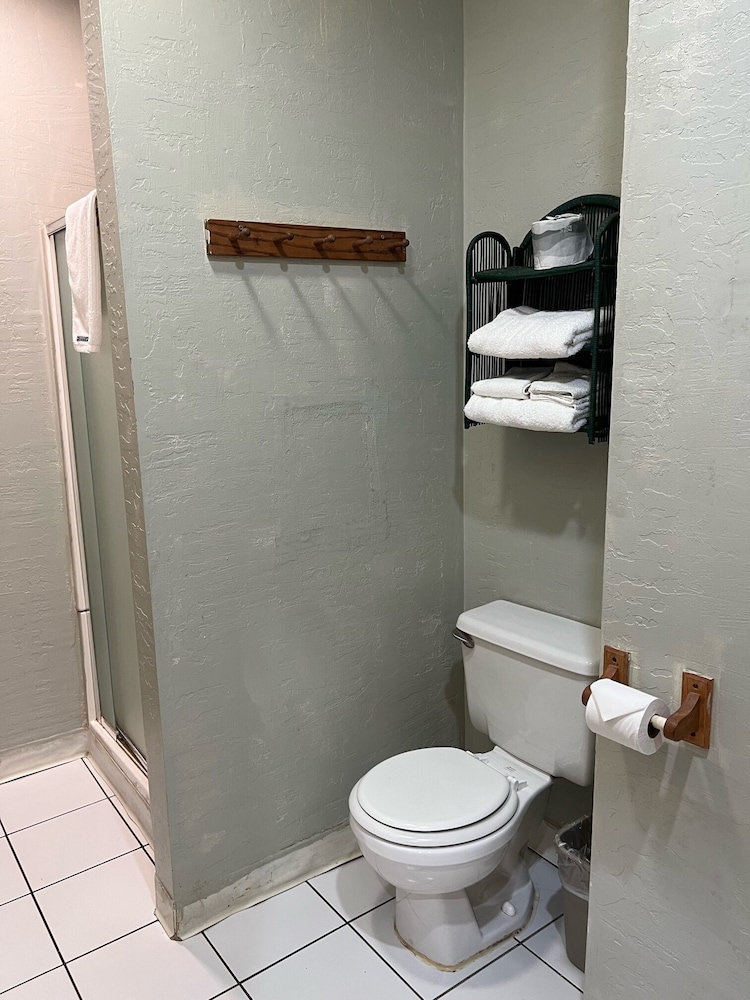 Americas Best Value Inn & Suites Royal Carriage 13/41