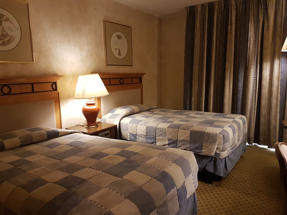 The Petra Palace Hotel 39/70