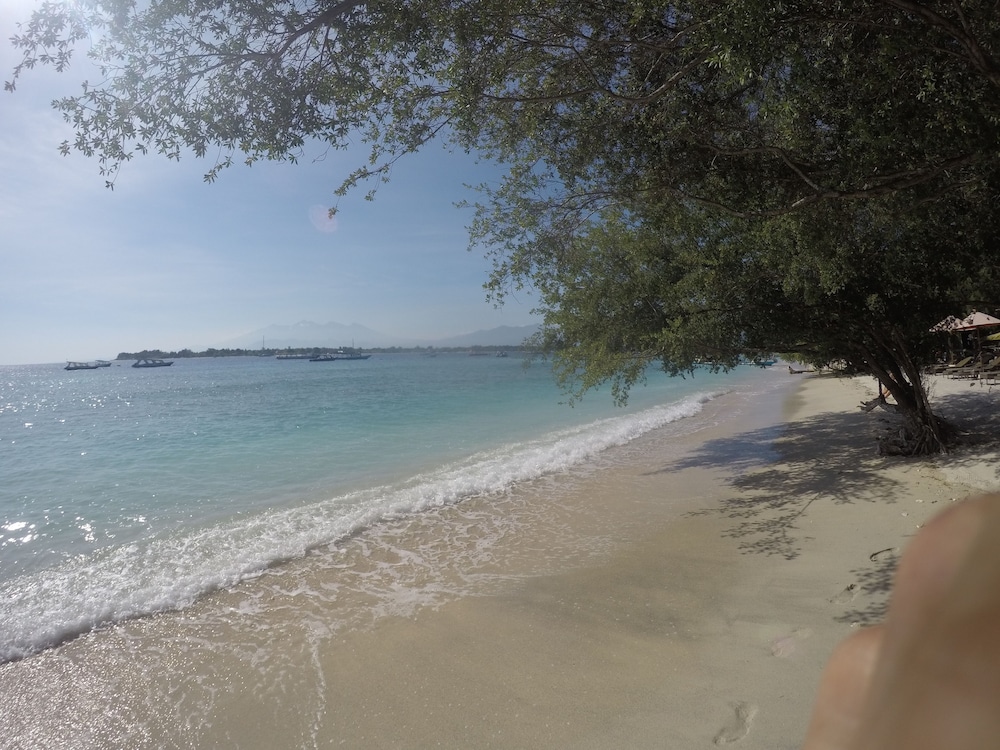 Coral Beach 2 Bungalow 37/50