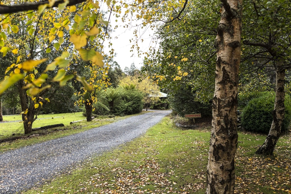 Cradle Forest Inn 43/50