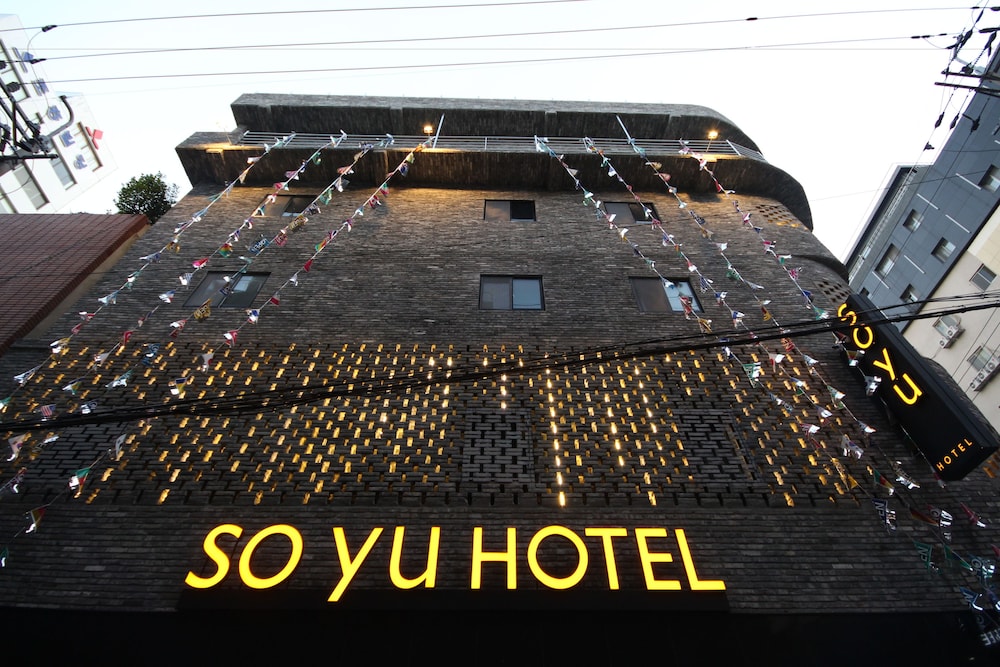 Soyu酒店(Soyu Hotel) 图片1