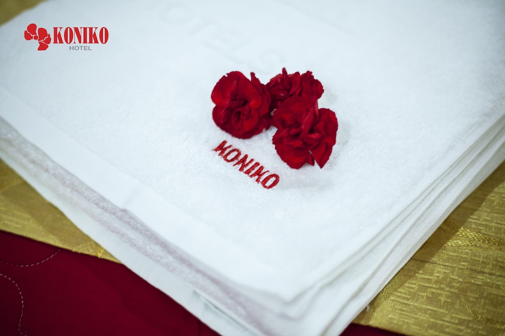 Koniko酒店(Koniko Hotel) 图片3