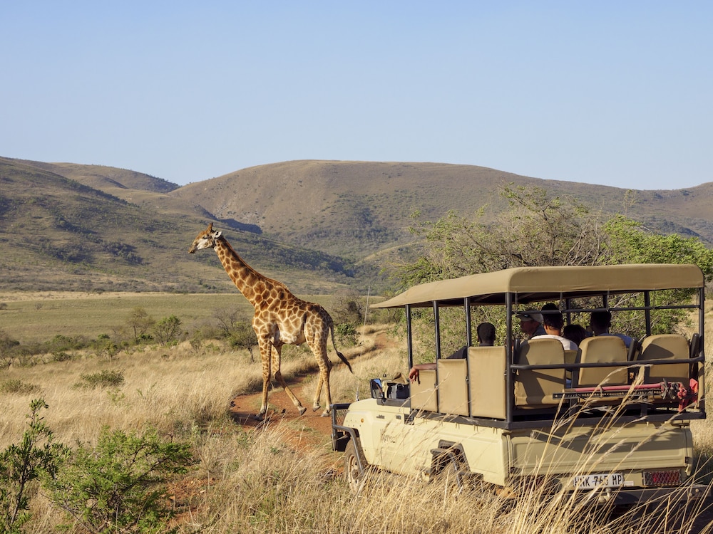 Nkomazi Game Reserve 62/69