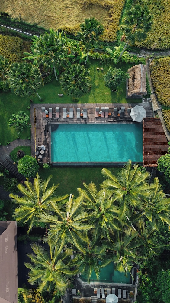 The Artini Resort 45/50
