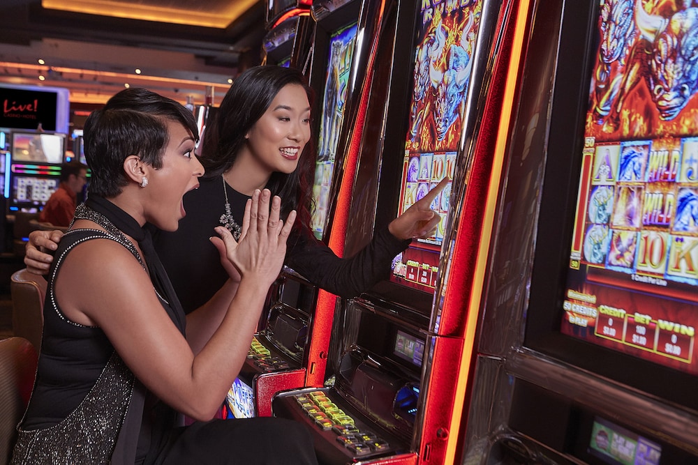 Live Casino and Hotel Baltimore Washington BWI Airport 31/72