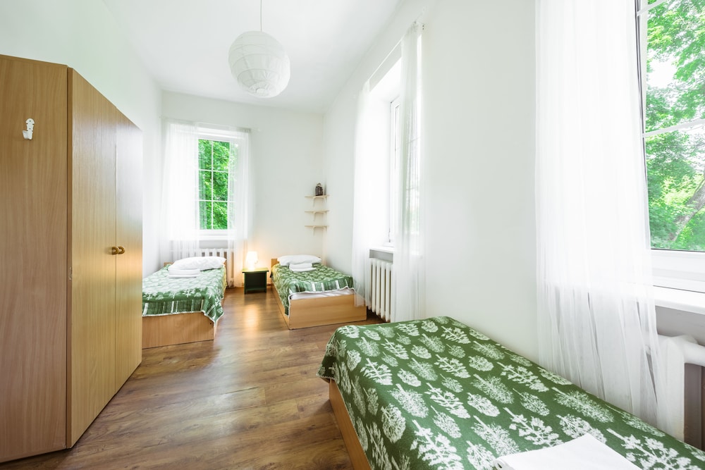 Downtown Forest Hostel & Camping 23/50