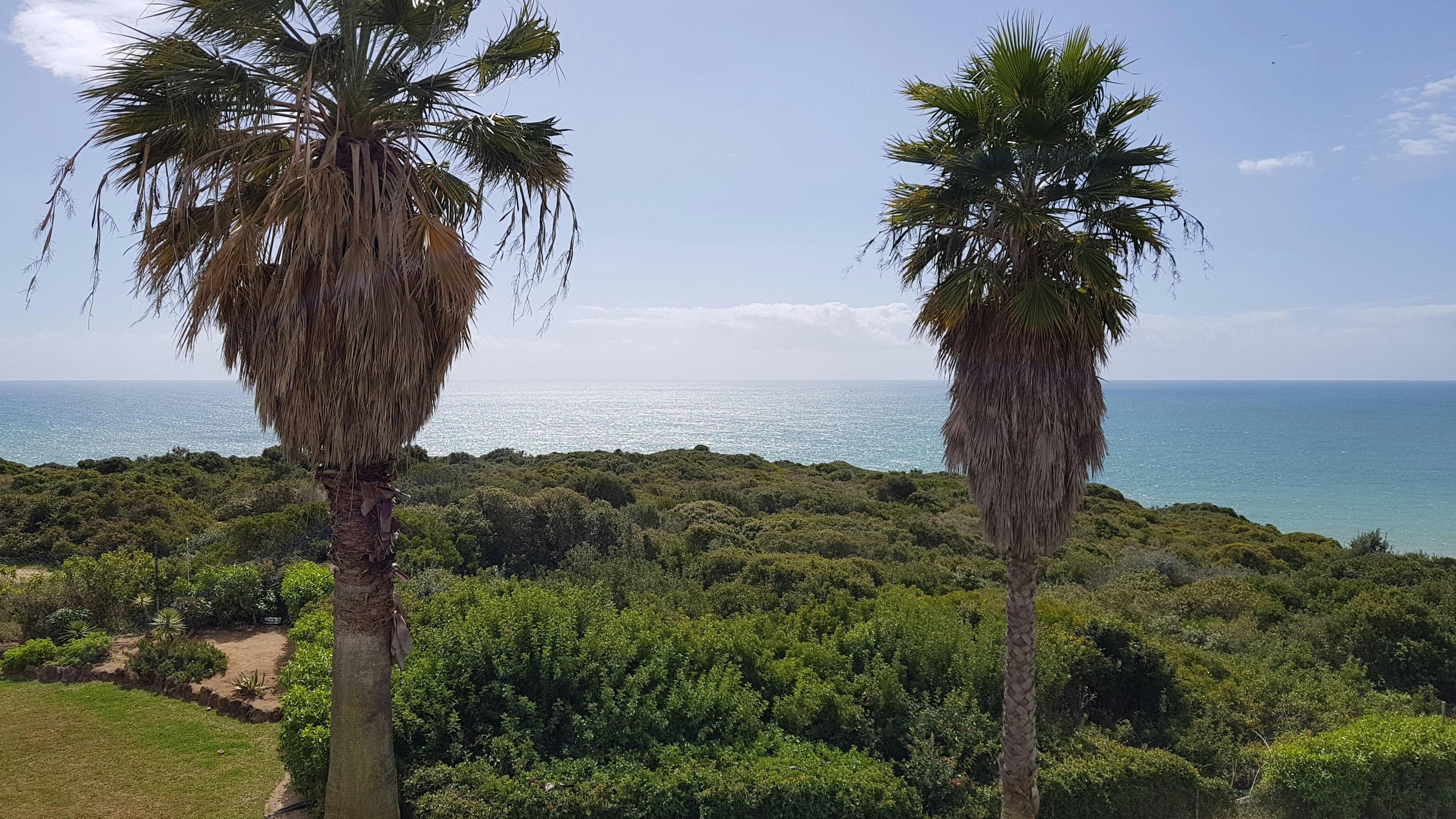 Pestana Palm Gardens 40/50