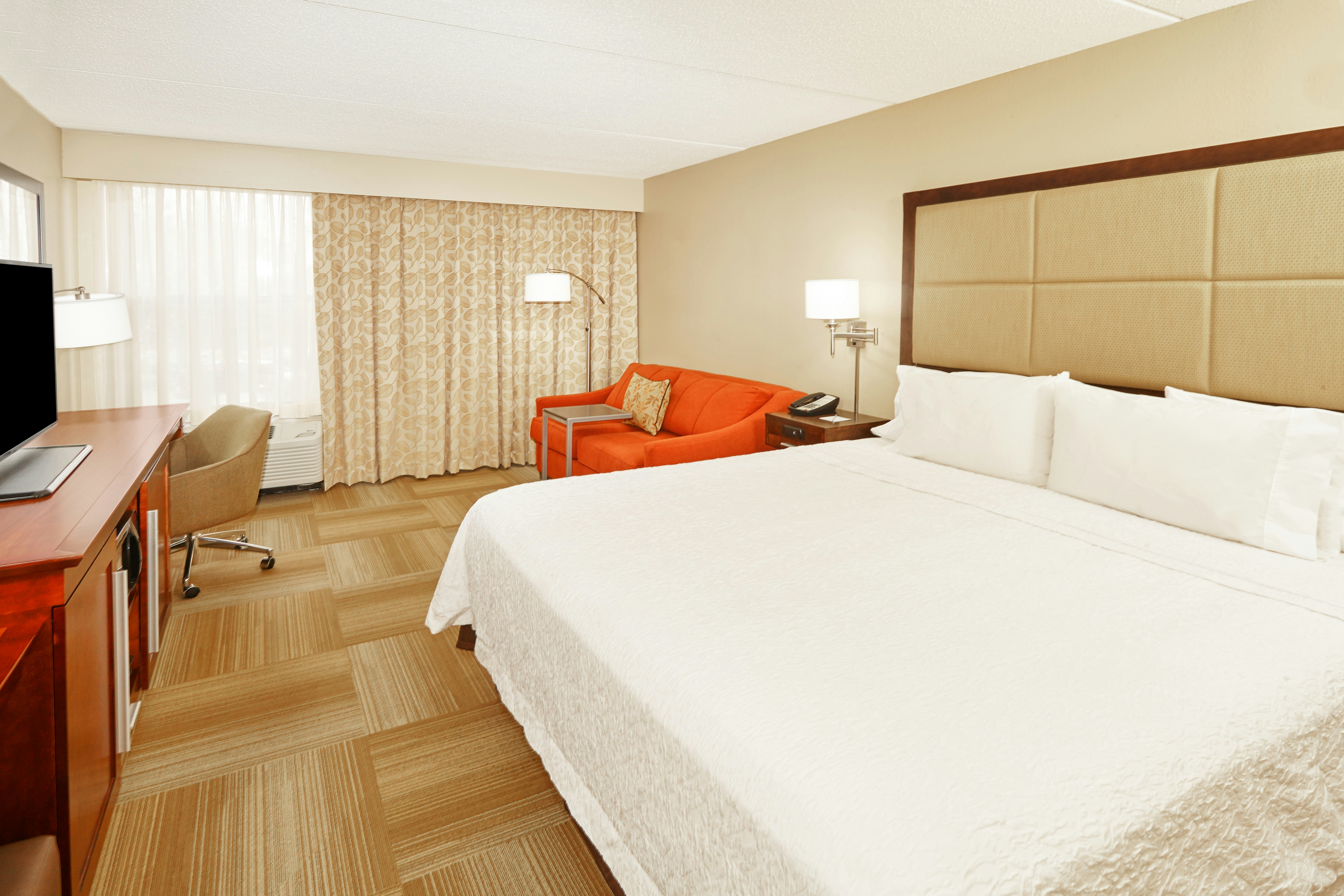 Study, King Bed, Sofa