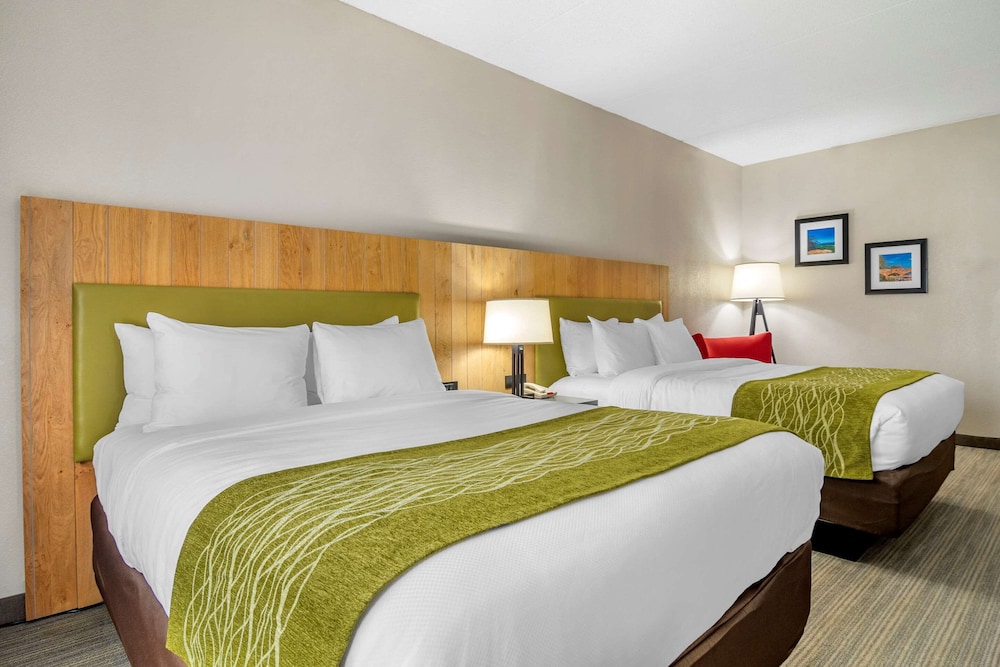 Comfort Inn and Suites Calhoun South 11/58