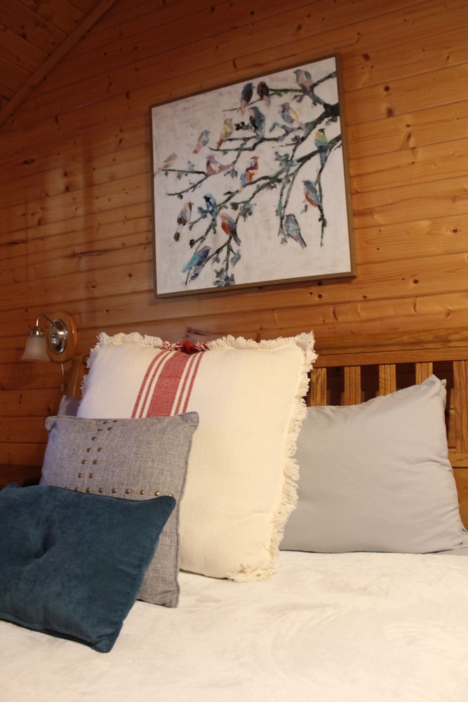 Frio Springs Lodges 17/50