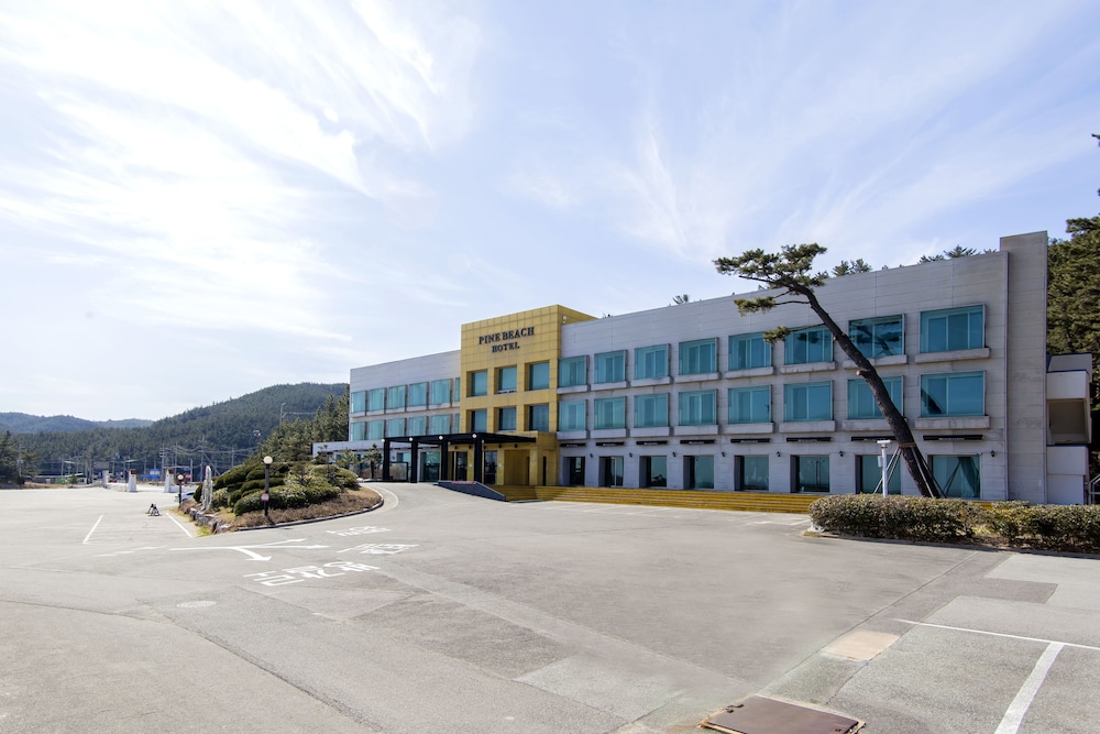 Pine Beach Hotel 2/29