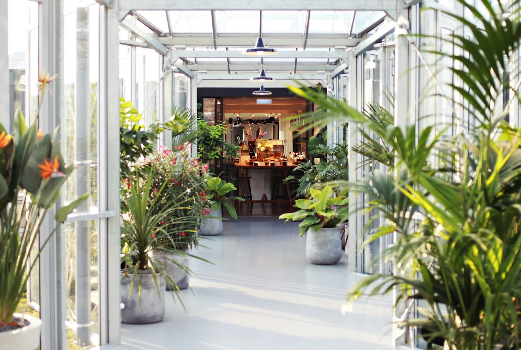 ZOKU AMSTERDAM 4/50