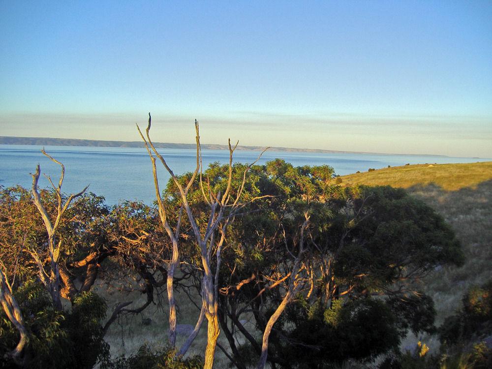 SEA DRAGON LODGE 54/55