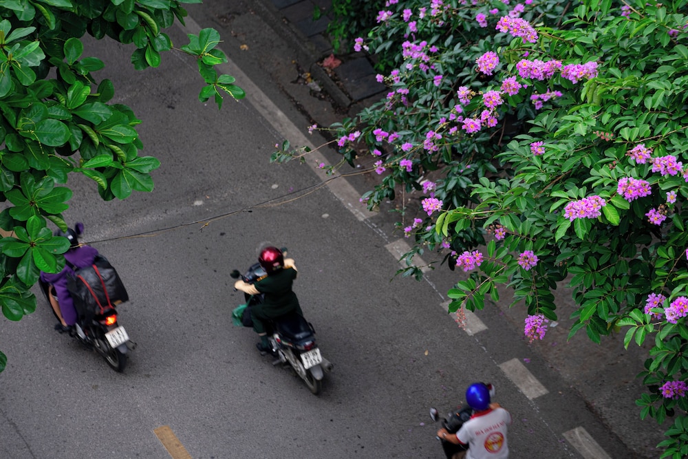 Wilque Hotel Hanoi 41/50