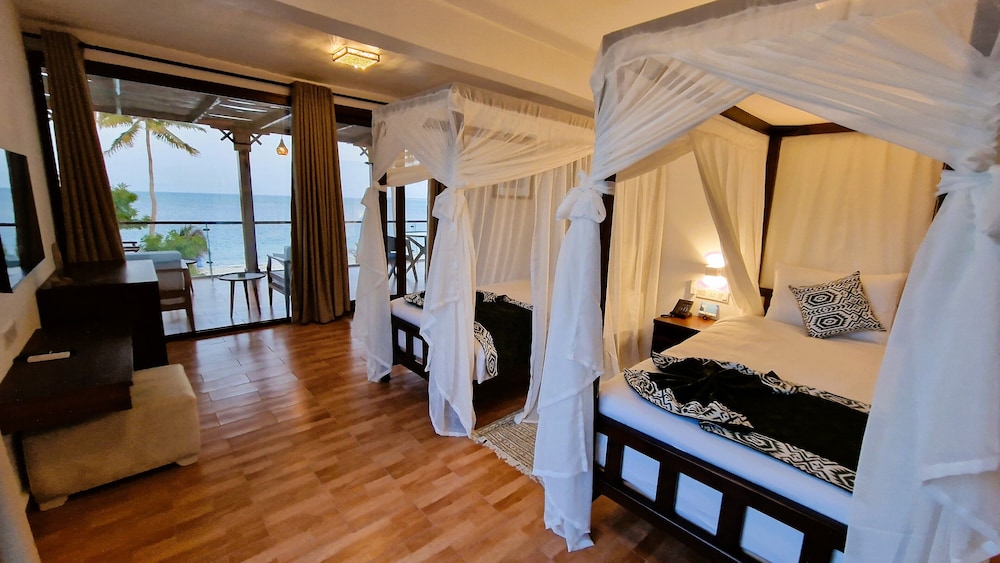 Dream of Zanzibar 12/50