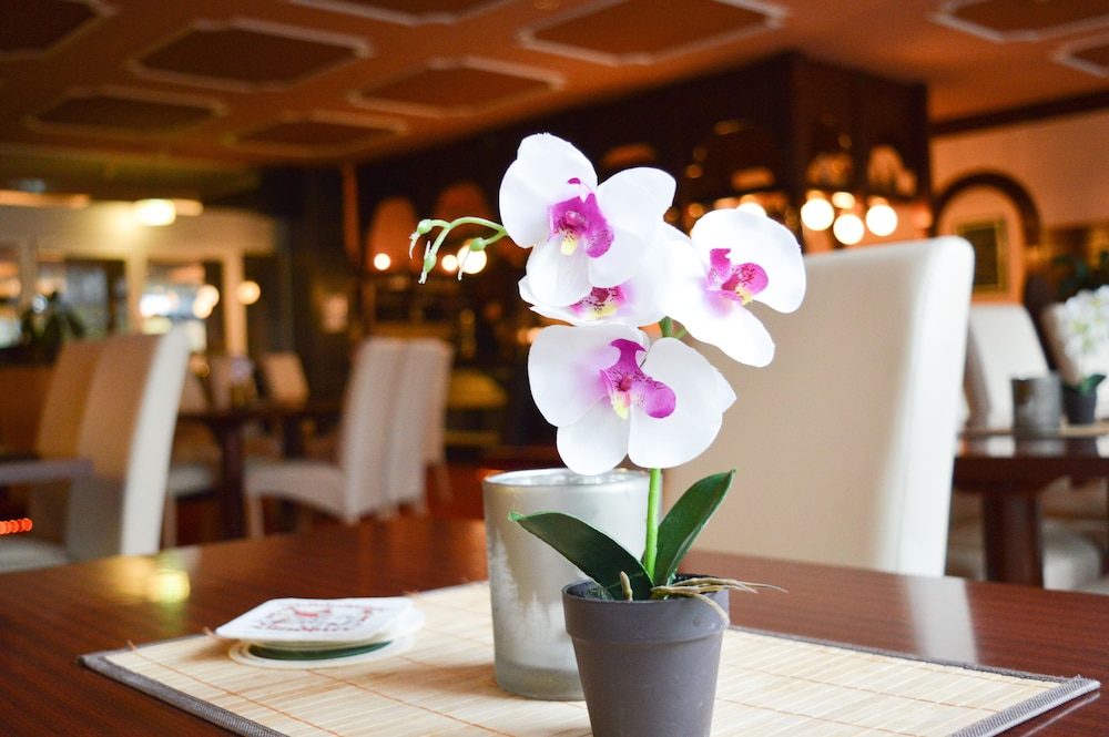 Carea Residenz Hotel Harzhohe 17/34