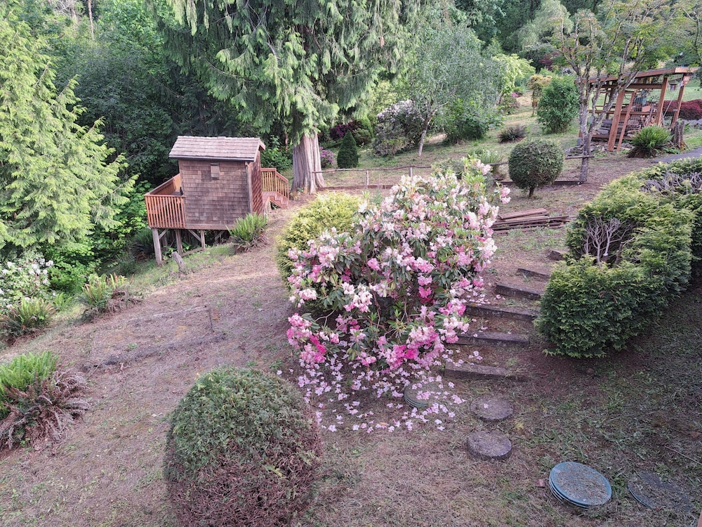 MapleRidge House: A BnB For All Seasons 43/50