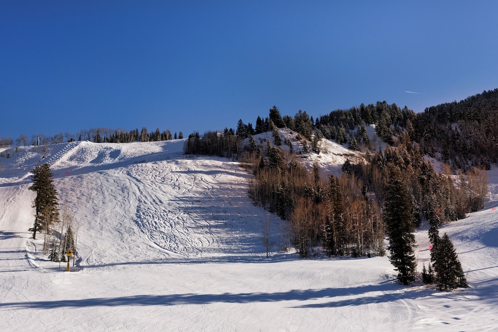 Ritz-Carlton Club, Aspen Highlands by Frias 47/50
