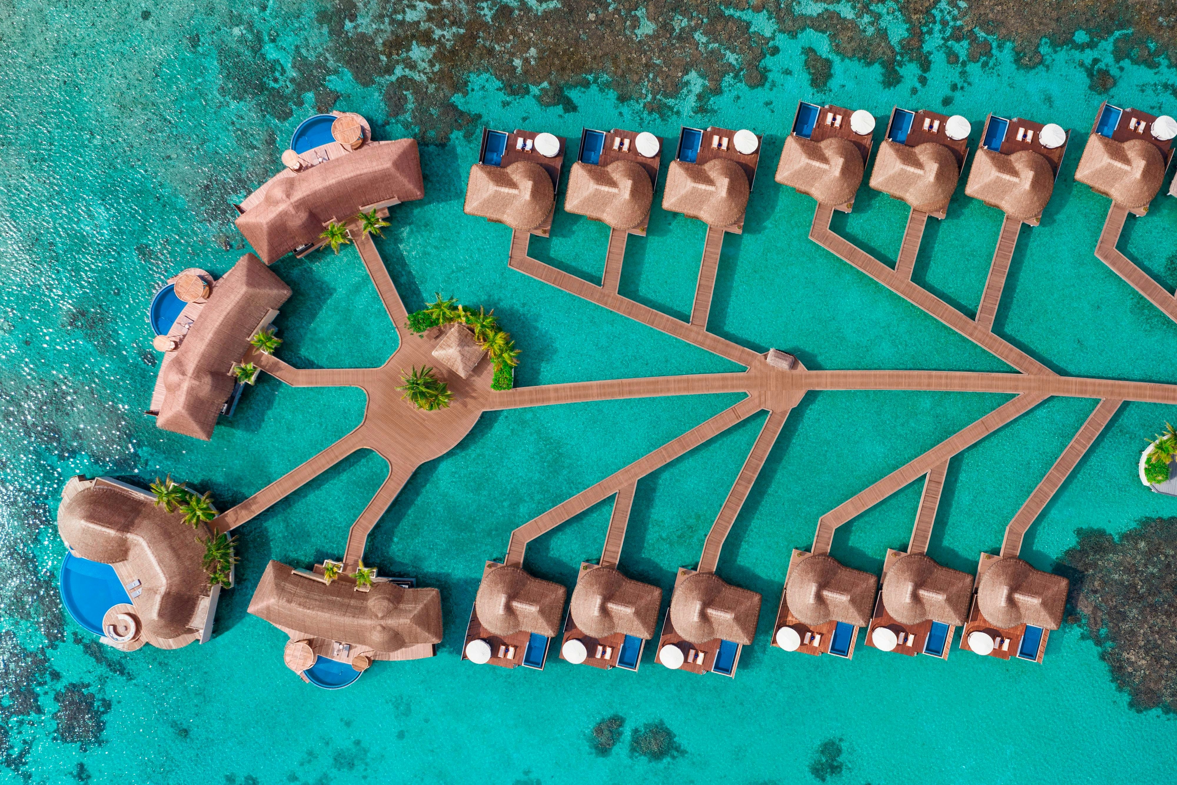 W Maldives 135/135
