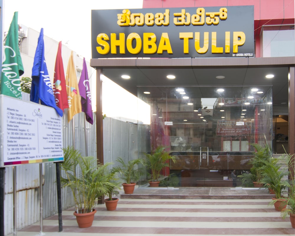 Shoba Tulip 4/29