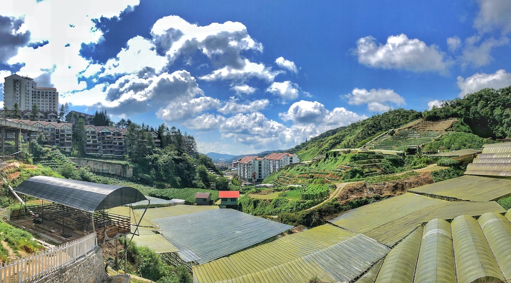 Kea Garden Mini Chalet 13/17