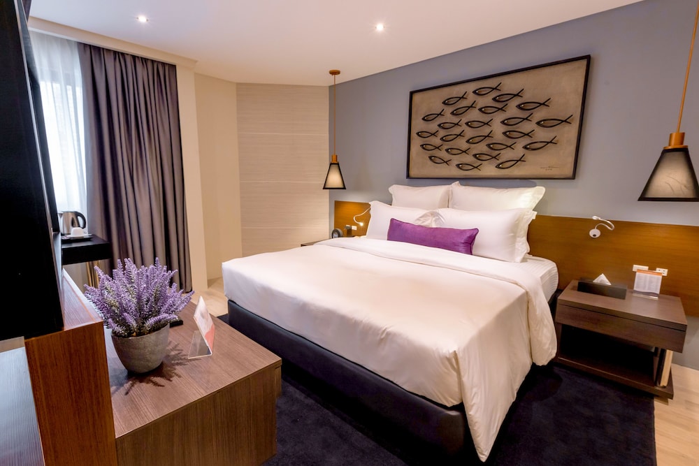 Coro Hotel 4/50