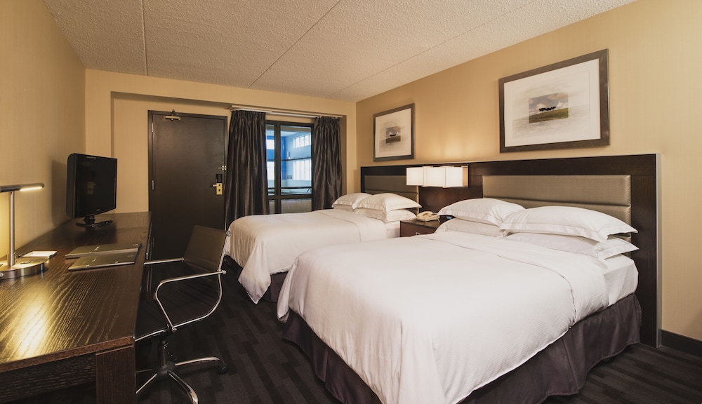 Hilton Winnipeg Airport Suites 16/65