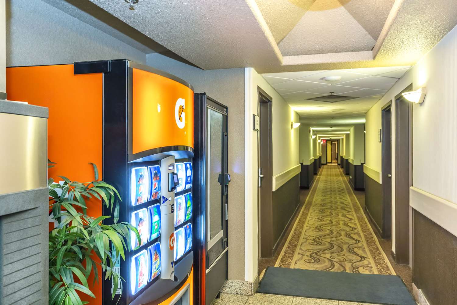 Quality Inn & Suites Yorkton 11/20