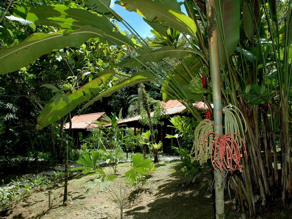 Esquinas Rainforest Lodge 18/46