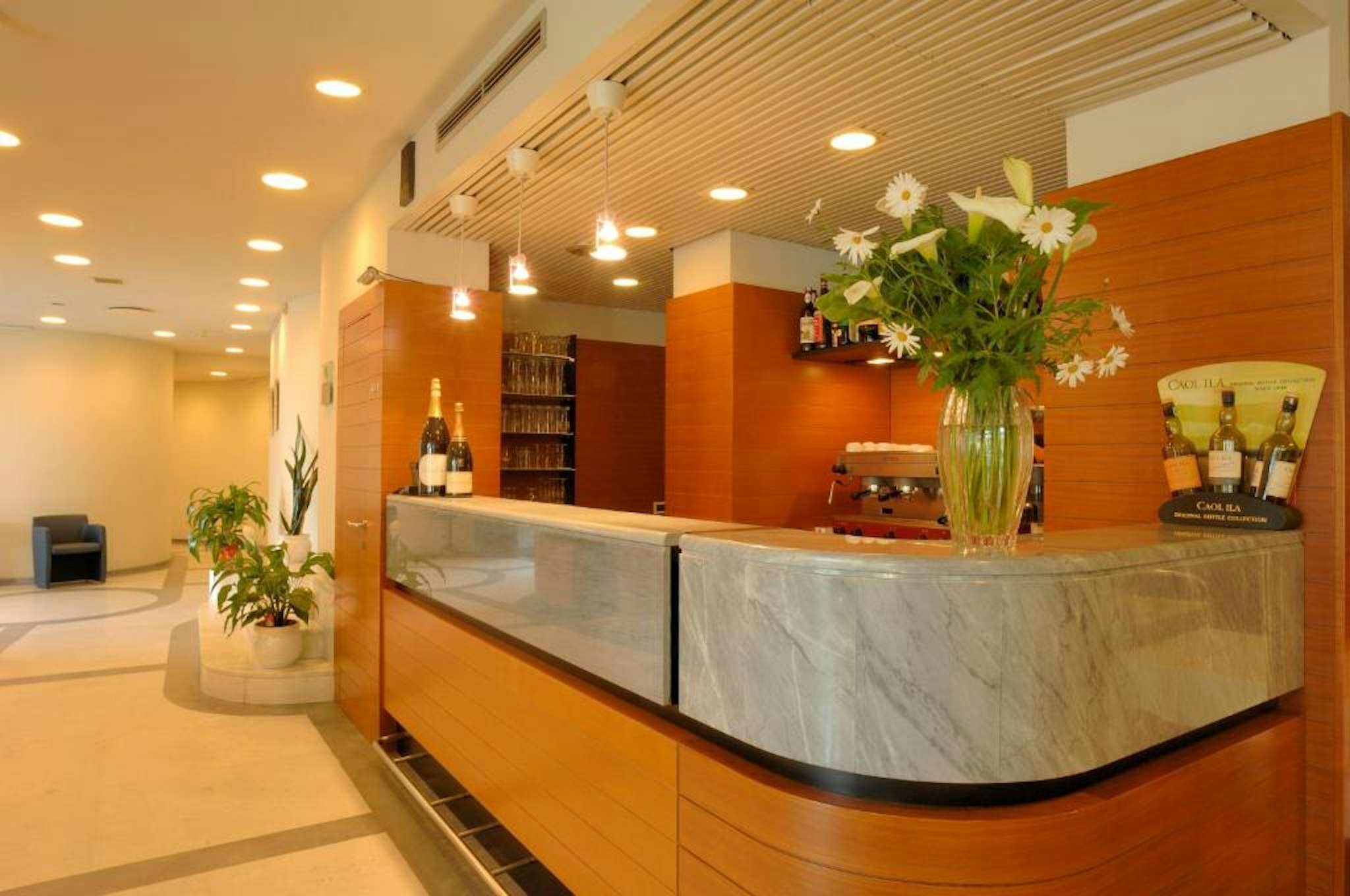 Hotel Le Roi 3/67