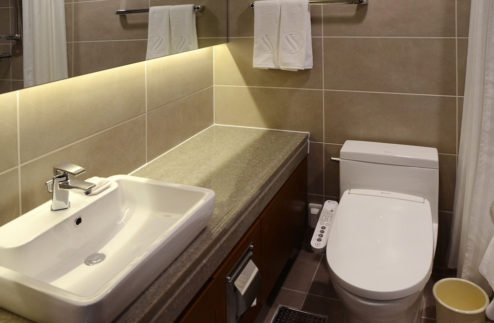 HOTEL SKYPARK KINGSTOWN DONGDAEMUN 73/73