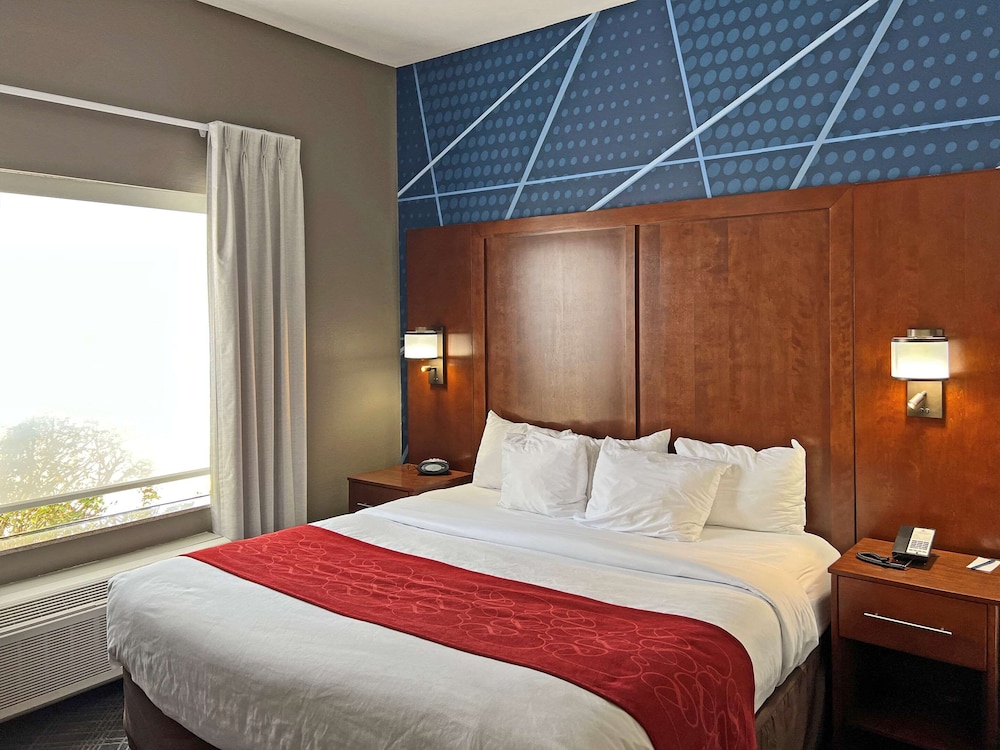 Comfort Suites Jackson Cape Girardeau 13/63