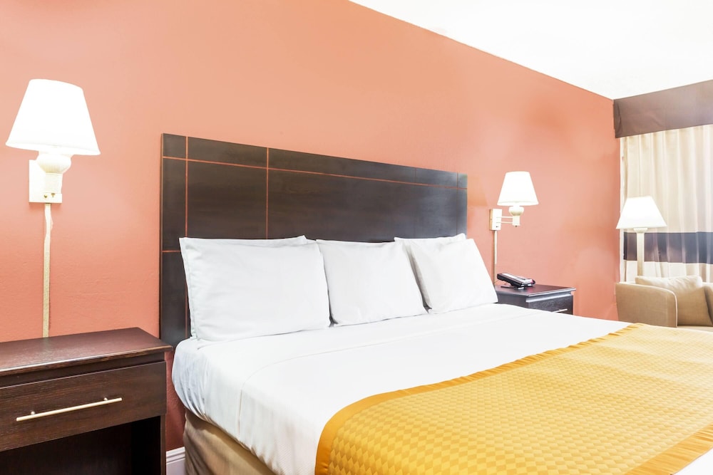 ROOM, QUEEN BED, ACCESSIBLE