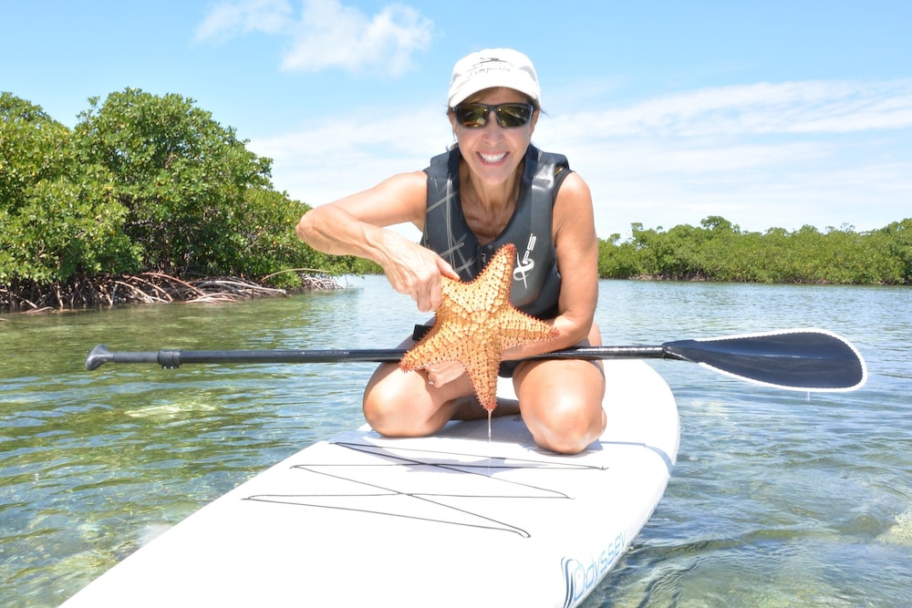 Green Turtle Club Resort Marina 10/46