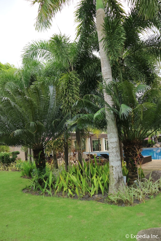 Mount Sea Resort 55/62