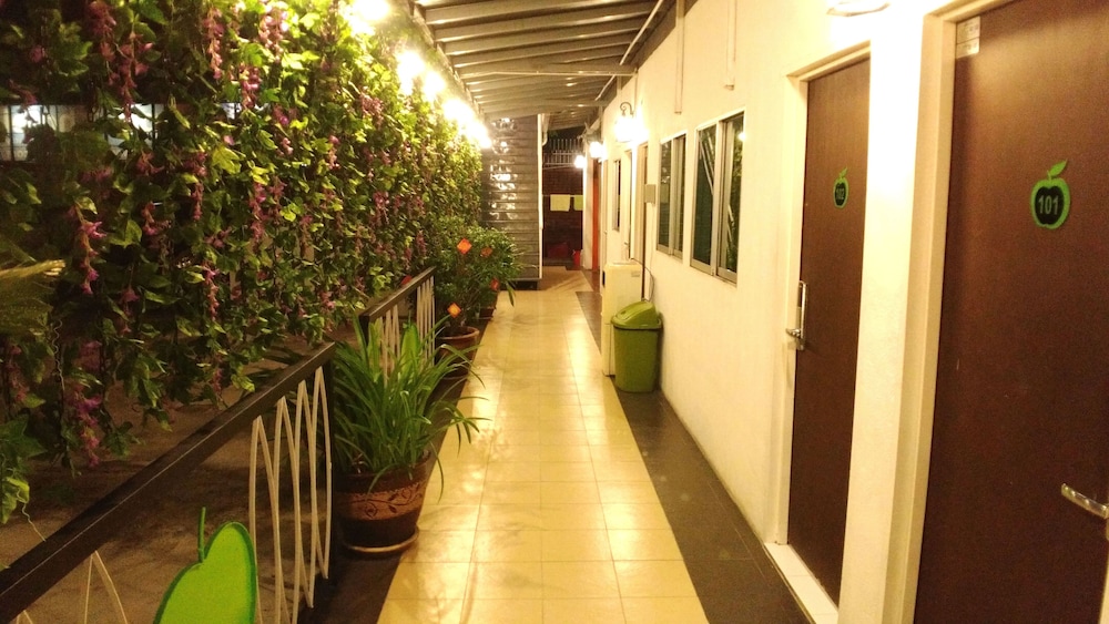 Apple 1 Hotel Gurney 5/61