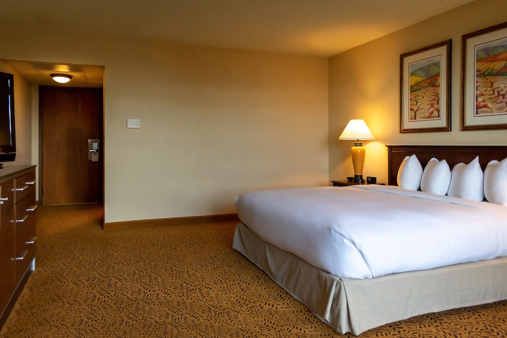 Doubletree Hotel San Jose 13/43