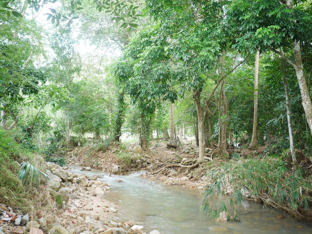 Tara Resort Samui 31/44
