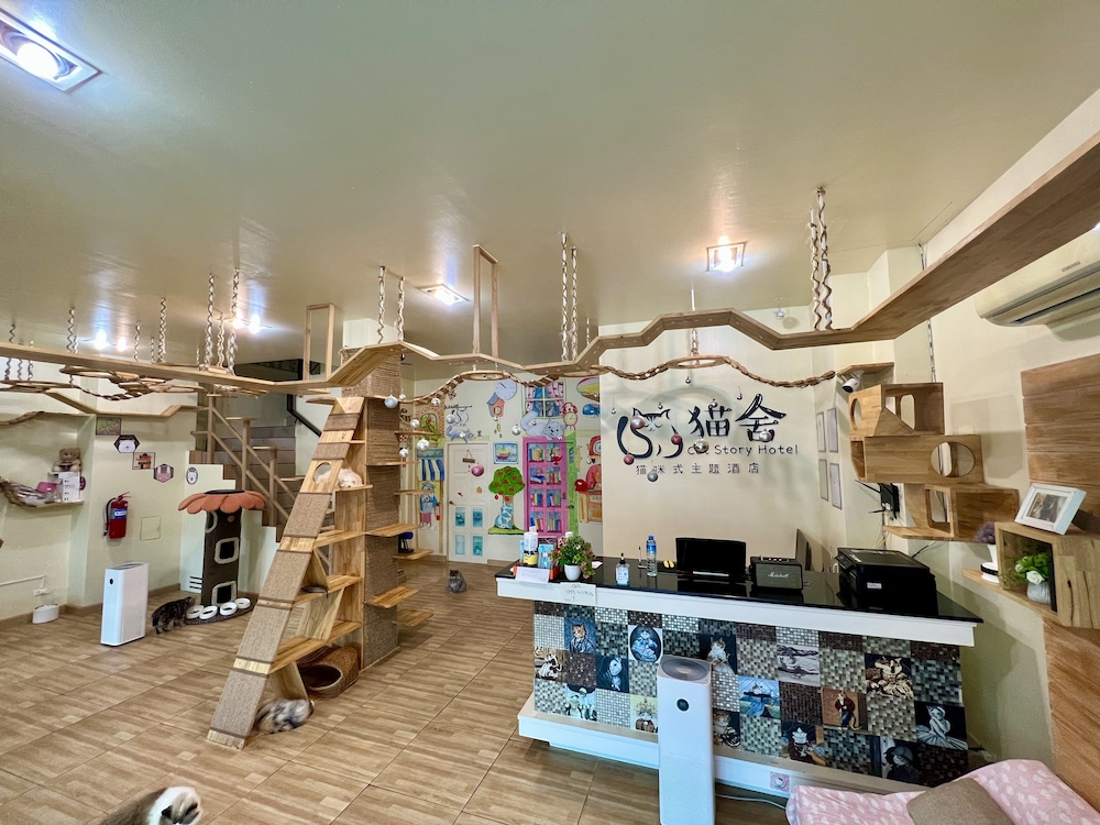 Cat Story Hotel 11/34