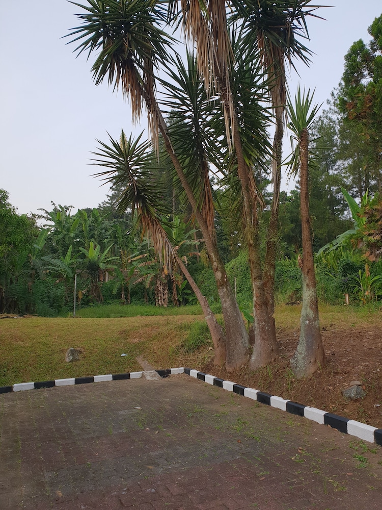Hotel Cisarua Indah 31/36