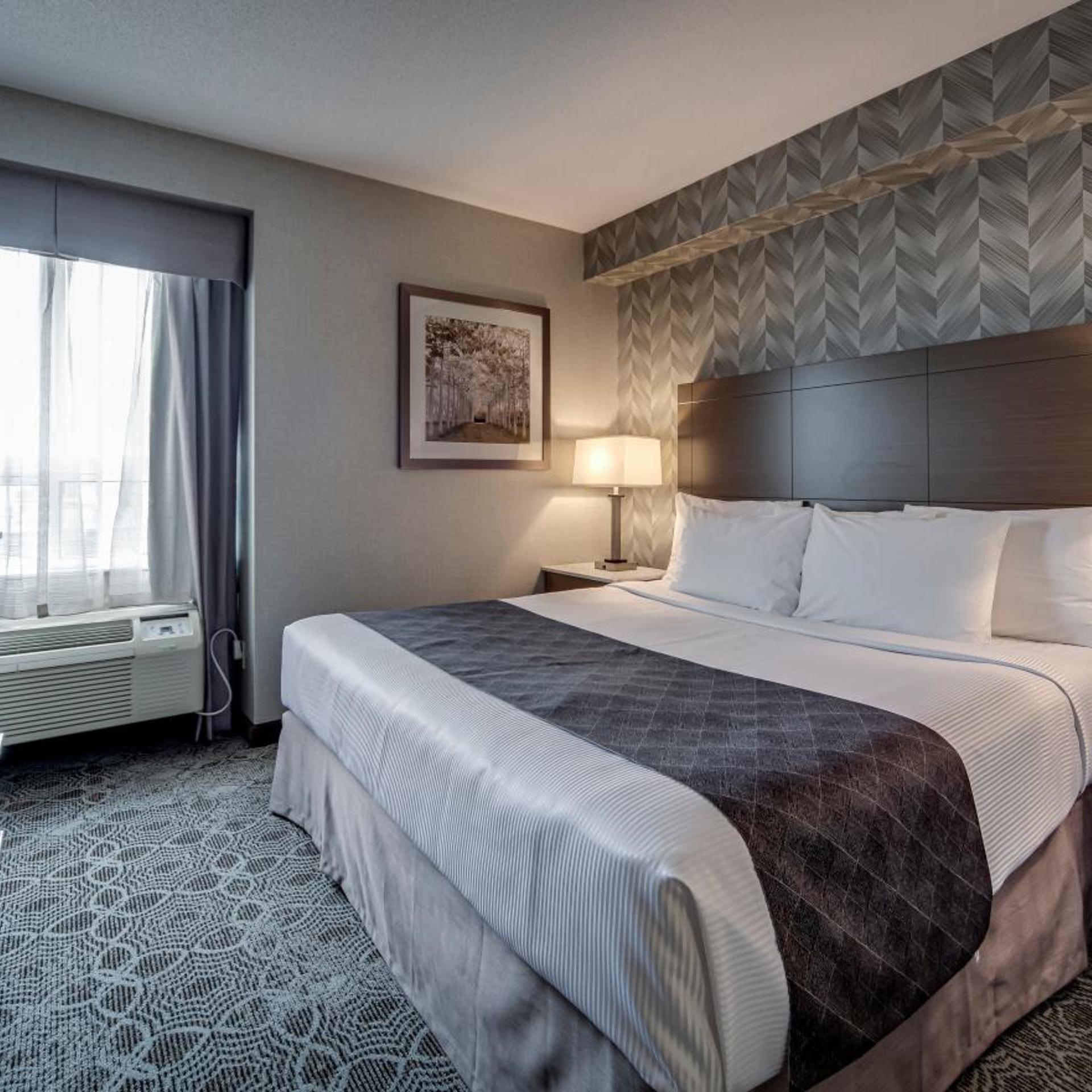 Suite, King Bed, Queen Bed, Sofa