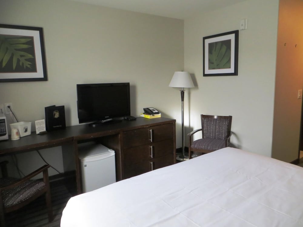 Super 8 By Wyndham Saskatoon Near Downtown 40/46