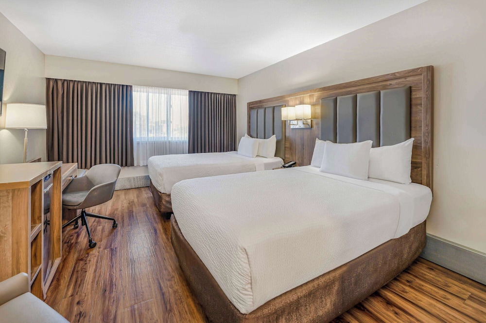 STANDARD, 2 DOUBLE BEDS, STREET VIEW