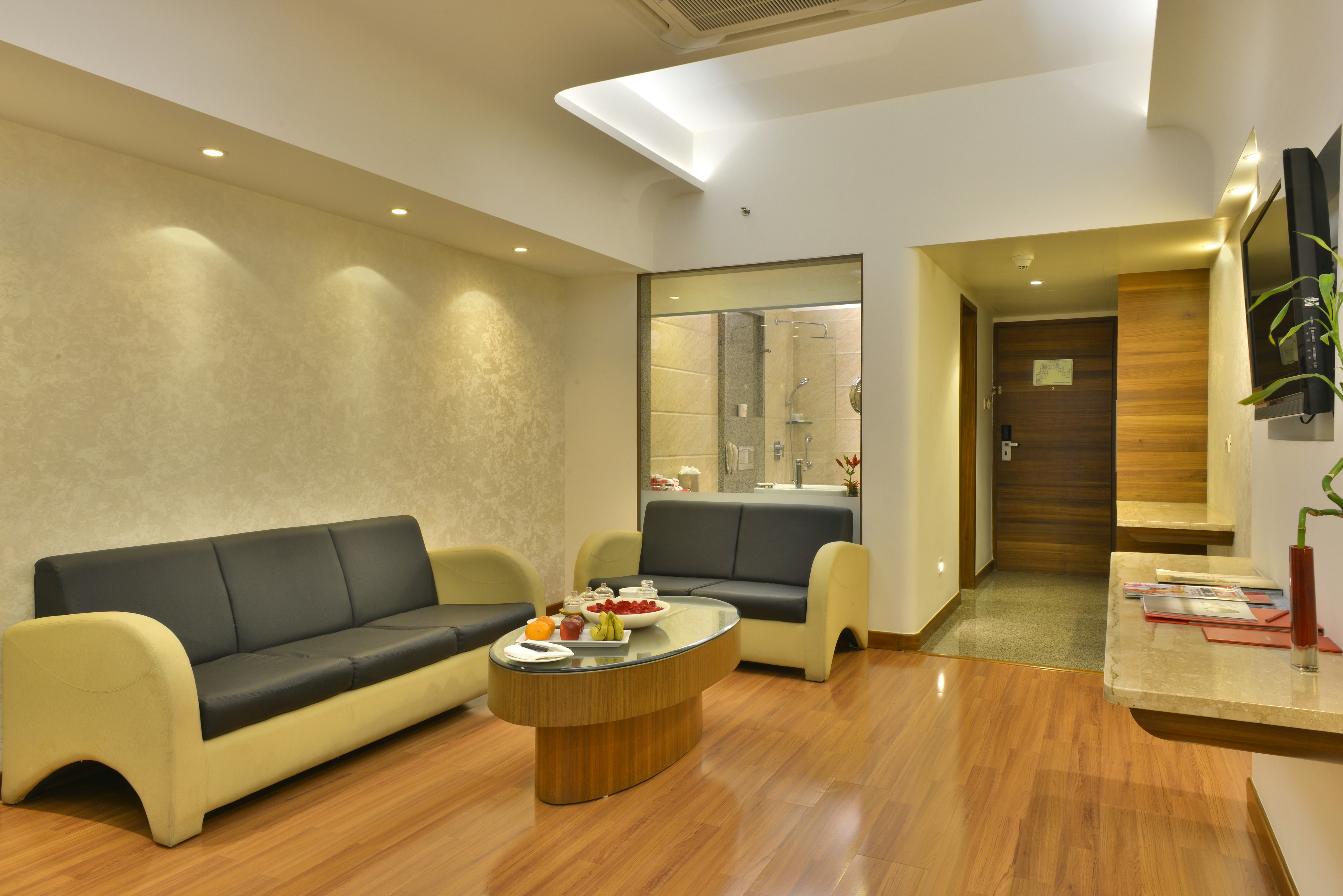 Vivanta Vadodara 21/38