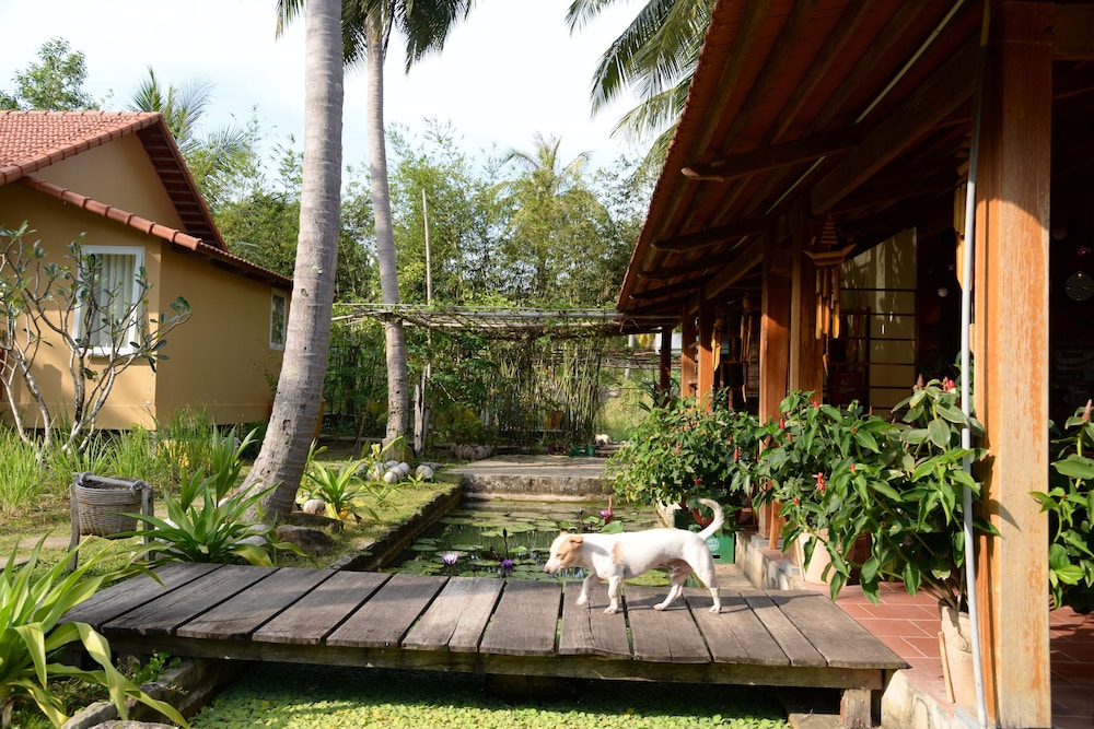 Mango Beach Resort 27/50
