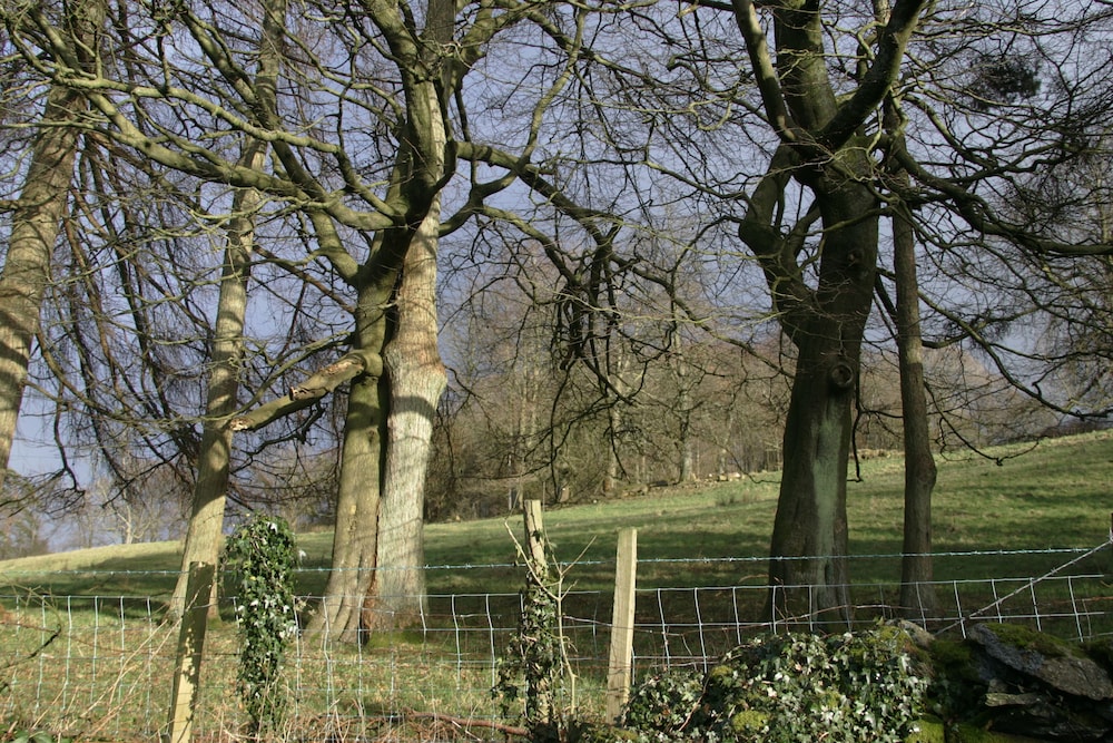 Blenheim Lodge 20/50