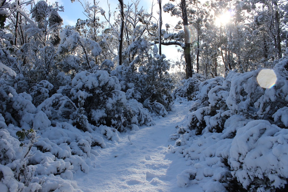 Cradle Mountain Hotel 52/58