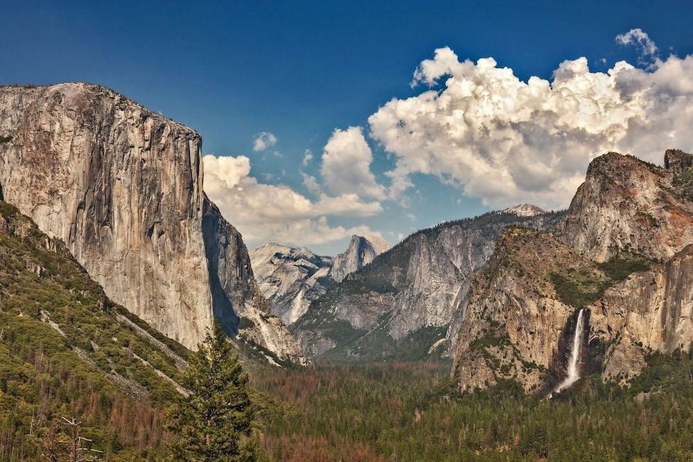 Star of the Mountain - The Star of Your Vacation by Yosemite Region Resorts 25/35