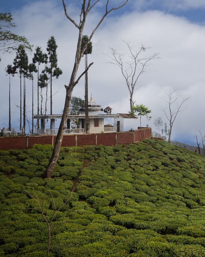 Ama Stays & Trails Puttabong Cottage, Darjeeling 44/50